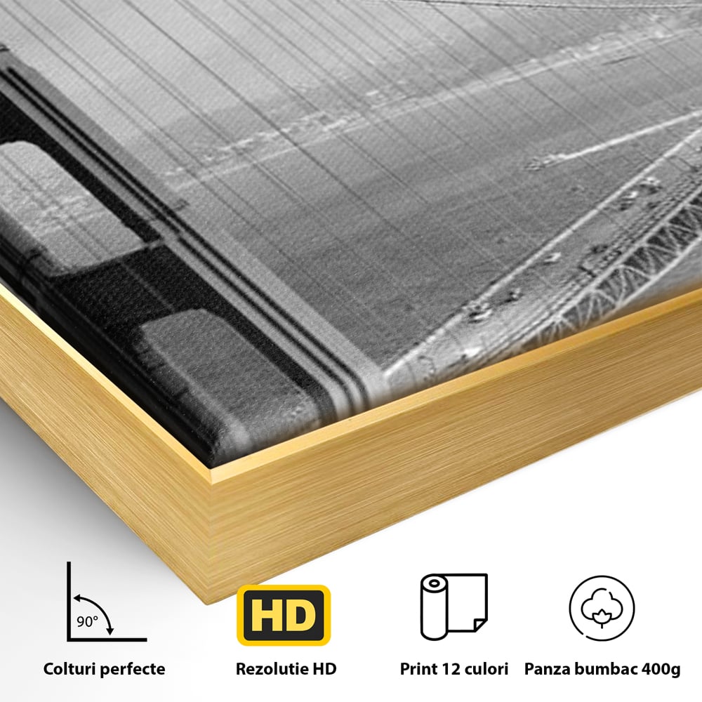 Detaliu al suprafetei: fotografie alb-negru cu podul golden gate, in rama de aluminiu auriu
